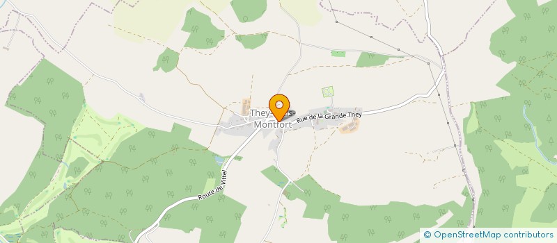 localisation de l'entreprise MADAME ANNE-MARIE NAVA  THEY-SOUS-MONTFORT