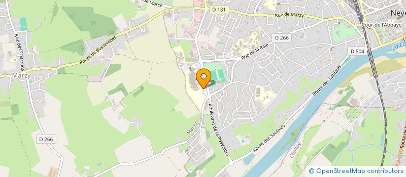 localisation de l'entreprise MADAME ANNE-MARIE RAISIN à NEVERS