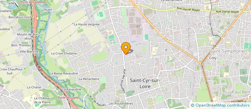 localisation de l'entreprise MADAME ANNE-MARIE SERAND  SAINT-CYR-SUR-LOIRE