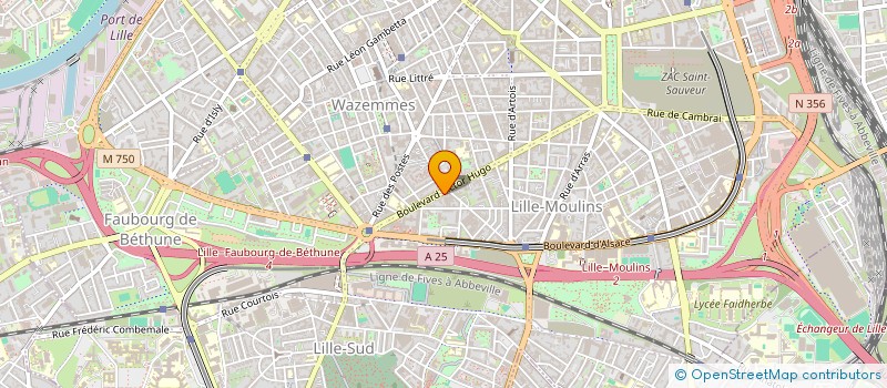 localisation de l'entreprise MADAME ANNE MARIE SIFA  LILLE