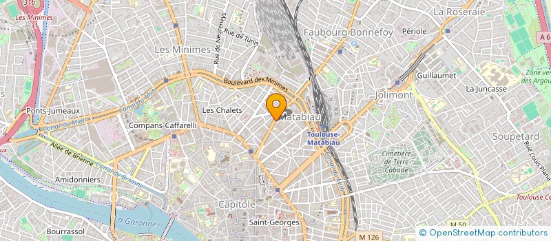 localisation de l'entreprise MADAME ANNE MARIE WAHOPA DELPOUVE à TOULOUSE