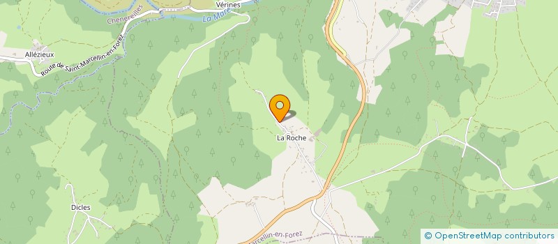 localisation de l'entreprise MADAME ANNE MAURIN  SAINT-MARCELLIN-EN-FOREZ