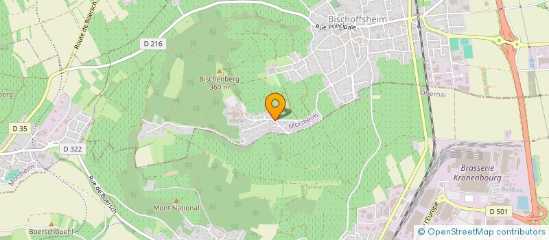 localisation de l'entreprise MADAME ANNE MITTELBERGER  BISCHOFFSHEIM