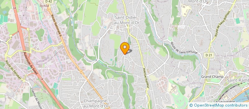 localisation de l'entreprise MADAME ANNE MONIQUE MARIE VIORNERY  SAINT-DIDIER-AU-MONT-D'OR