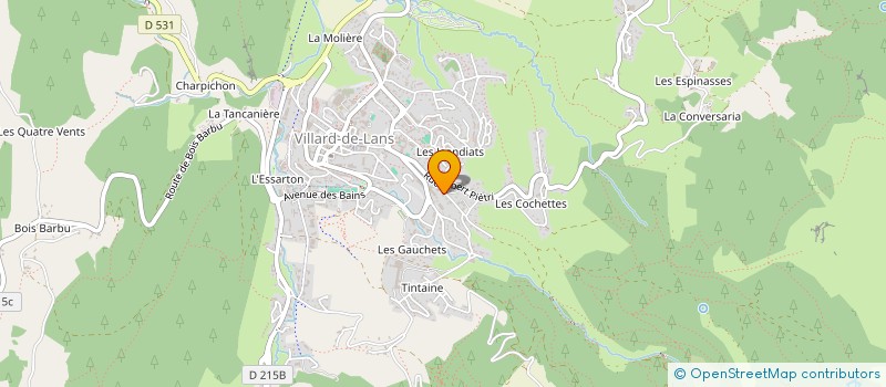 localisation de l'entreprise MADAME ANNE OUDOT à VILLARD-DE-LANS