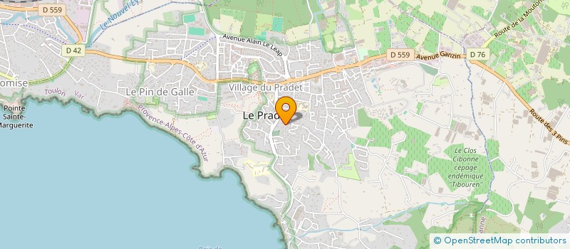 localisation de l'entreprise MADAME ANNE PALAYSI à LE PRADET