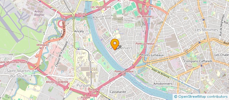 localisation de l'entreprise MADAME ANNE PALUSTRAN  TOULOUSE