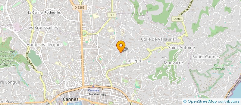 localisation de l'entreprise MADAME ANNE PARTENET  CANNES