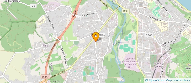 localisation de l'entreprise MADAME ANNE PAULEAU  SAUMUR