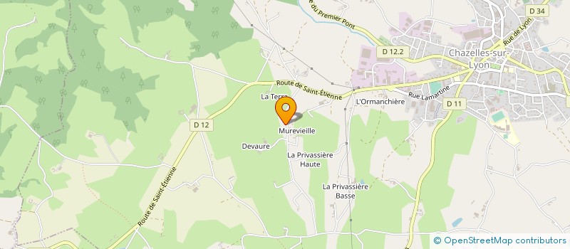 localisation de l'entreprise MADAME ANNE PERRICHON  CHAZELLES SUR LYON