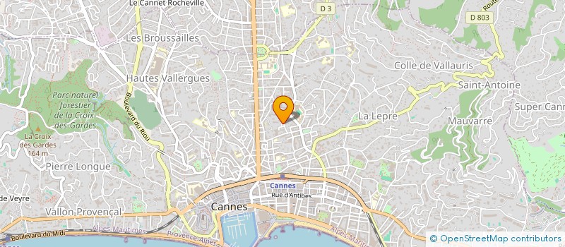localisation de l'entreprise MADAME ANNE PERRIN-GOURON à CANNES
