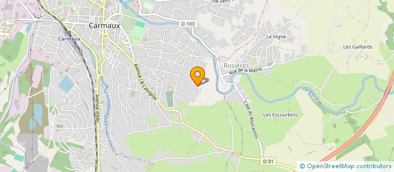 localisation de l'entreprise MADAME ANNE PILLET  CARMAUX