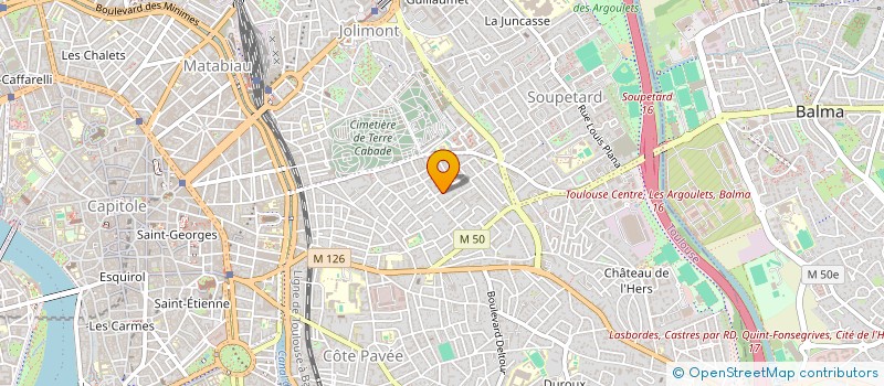 localisation de l'entreprise MADAME ANNE RADIGALES  TOULOUSE