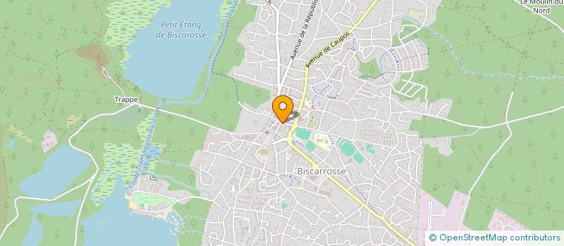 localisation de l'entreprise MADAME ANNE REGOT  BISCARROSSE