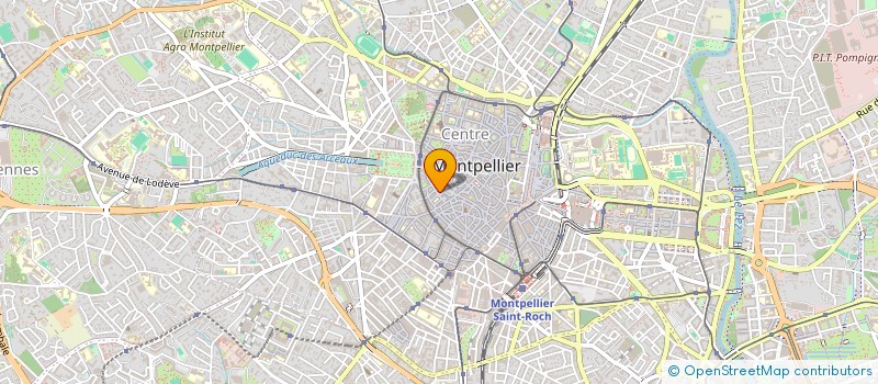 localisation de l'entreprise MADAME ANNE RESHETNYAK à MONTPELLIER