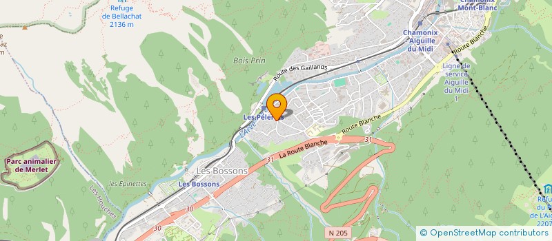 localisation de l'entreprise MADAME ANNE RIQUIER  CHAMONIX-MONT-BLANC