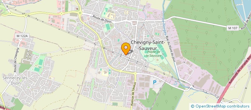 localisation de l'entreprise MADAME ANNE ROUCHY à CHEVIGNY-SAINT-SAUVEUR