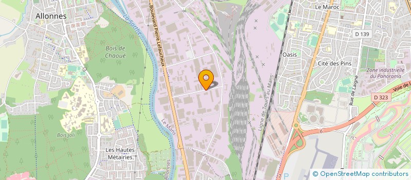 localisation de l'entreprise MADAME ANNE ROUDEVITCH  LE MANS