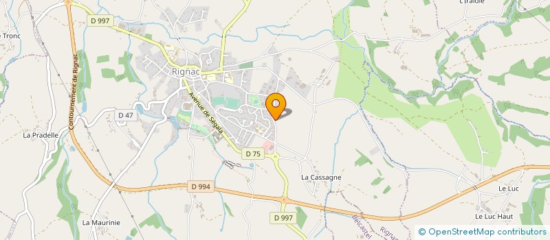 localisation de l'entreprise MADAME ANNE ROUQUIER  RIGNAC