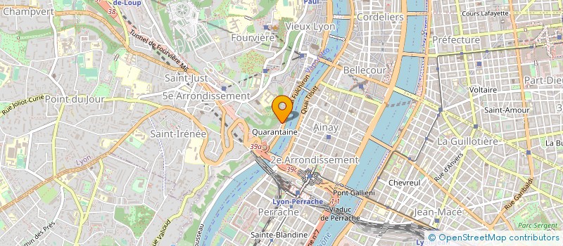 localisation de l'entreprise MADAME ANNE ROUSSEL  LYON