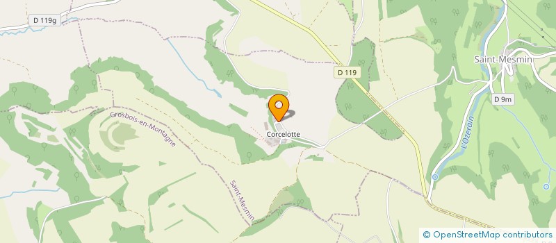 localisation de l'entreprise MADAME ANNE ROUSSIN  SAINT-MESMIN