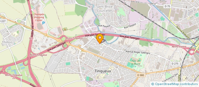 localisation de l'entreprise MADAME ANNE ROUYER  TINQUEUX