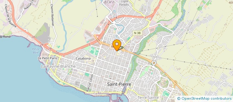 localisation de l'entreprise MADAME ANNE SAES à SAINT-PIERRE