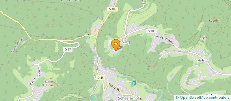 localisation de l'entreprise MADAME ANNE SCHNEIDER  HASELBOURG