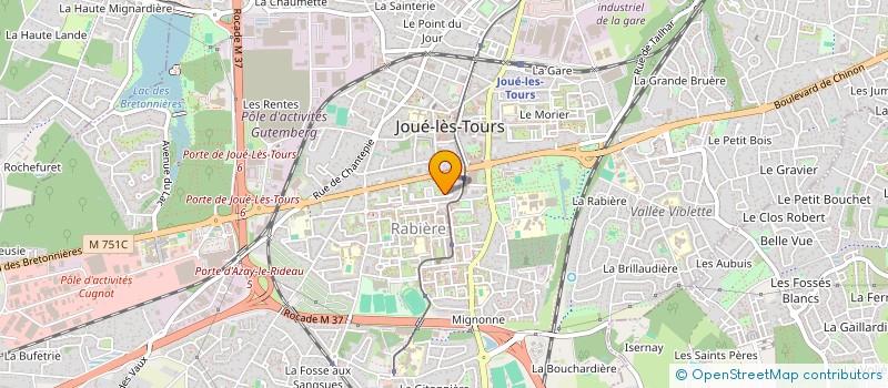 localisation de l'entreprise MADAME ANNE SCHREINER  JOUE-LES-TOURS