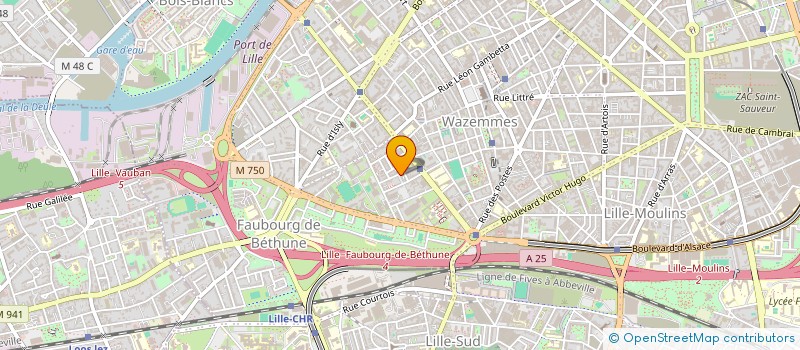 localisation de l'entreprise MADAME ANNE SOPHIE BRUNET à LILLE