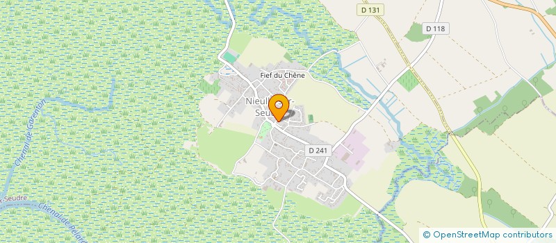 localisation de l'entreprise MADAME ANNE SOPHIE CAZABAN PEYRE  NIEULLE-SUR-SEUDRE