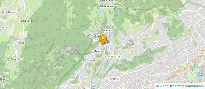 localisation de l'entreprise MADAME ANNE-SOPHIE CHATEAU  LA TRONCHE