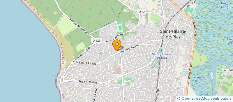 localisation de l'entreprise MADAME ANNE SOPHIE GUYARD  SAINT-HILAIRE-DE-RIEZ