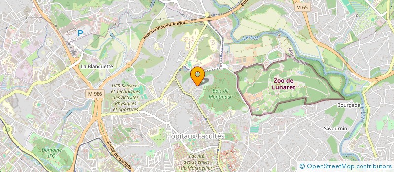 localisation de l'entreprise MADAME ANNE SOPHIE MARINTHE à MONTPELLIER