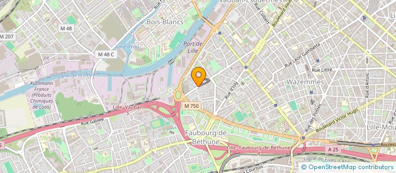 localisation de l'entreprise MADAME ANNE-SOPHIE POPA  LILLE