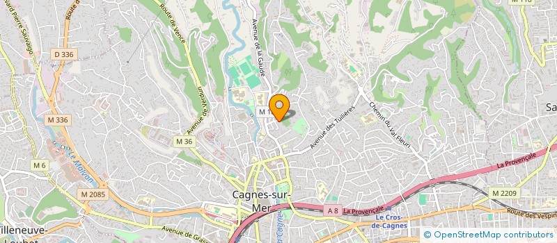 localisation de l'entreprise MADAME ANNE-SOPHIE RICHARD  CAGNES SUR MER