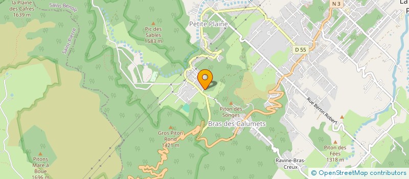 localisation de l'entreprise MADAME ANNE-SOPHIE SARNON  LA PLAINE-DES-PALMISTES