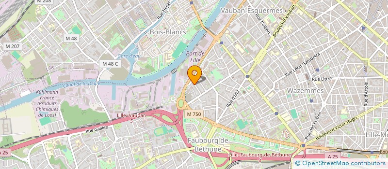 localisation de l'entreprise MADAME ANNE-SOPHIE VANTHOURNOUT  LILLE