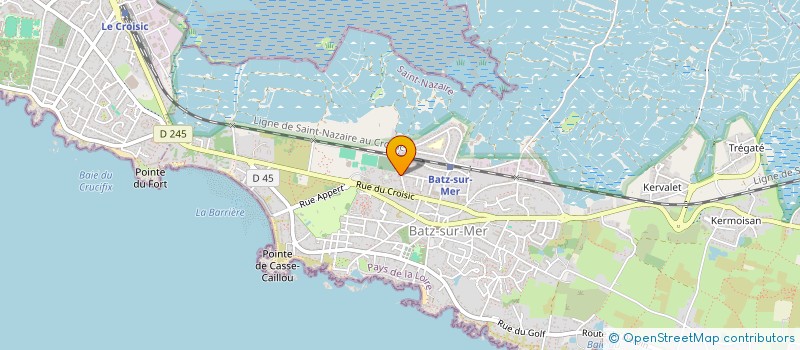localisation de l'entreprise MADAME ANNE SORIN  BATZ-SUR-MER