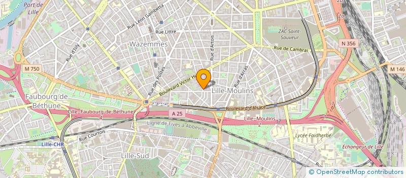 localisation de l'entreprise MADAME ANNE SUCHECKI à LILLE