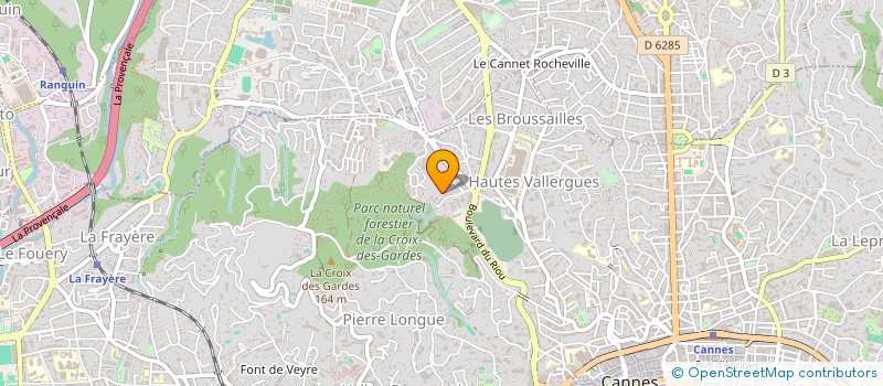 localisation de l'entreprise MADAME ANNE-VALERIE DESOULIERE à CANNES