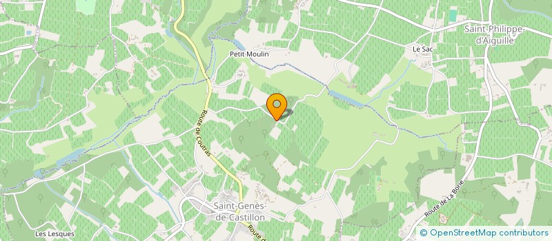 localisation de l'entreprise MADAME ANNE VAN DER ELST  SAINT-GENES-DE-CASTILLON