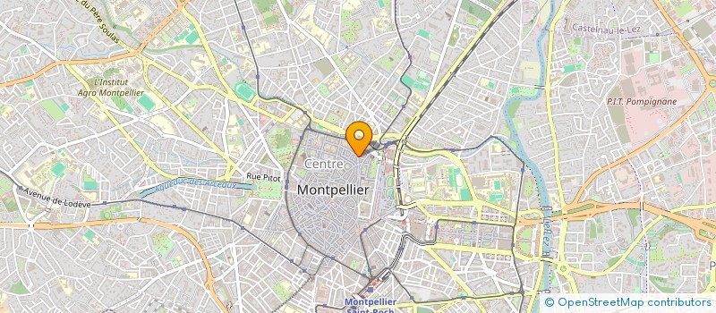localisation de l'entreprise MADAME ANNE VARGOZ à MONTPELLIER