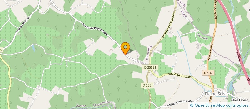 localisation de l'entreprise MADAME ANNE VERIT  SAINT-BONNET-SUR-GIRONDE