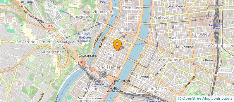 localisation de l'entreprise MADAME ANNE VIALLET  LYON