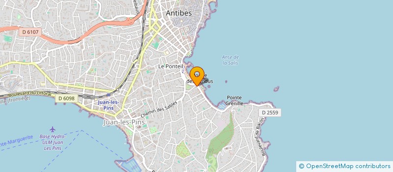 localisation de l'entreprise MADAME ANNE VICK  ANTIBES