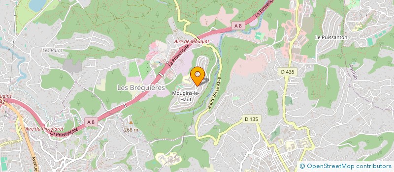 localisation de l'entreprise MADAME ANNE WALLON  MOUGINS