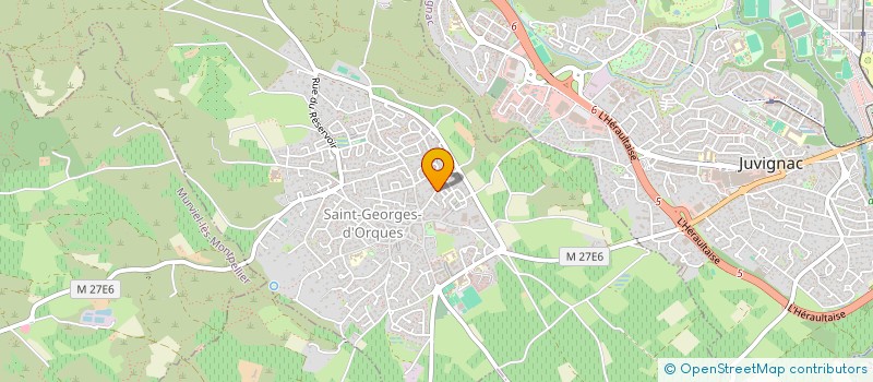 localisation de l'entreprise MADAME ANNE ZEMMOUR  SAINT-GEORGES-D'ORQUES