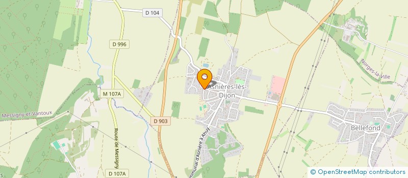 localisation de l'entreprise MADAME ANNELISE EBERT-WALKENS  ASNIERES-LES-DIJON