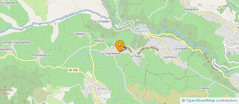 localisation de l'entreprise MADAME ANNETTE JOLY  CELLIEU